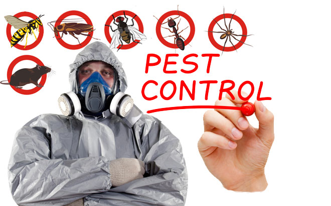 best pest control service