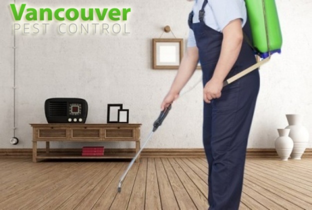 pest_control_by_professionals