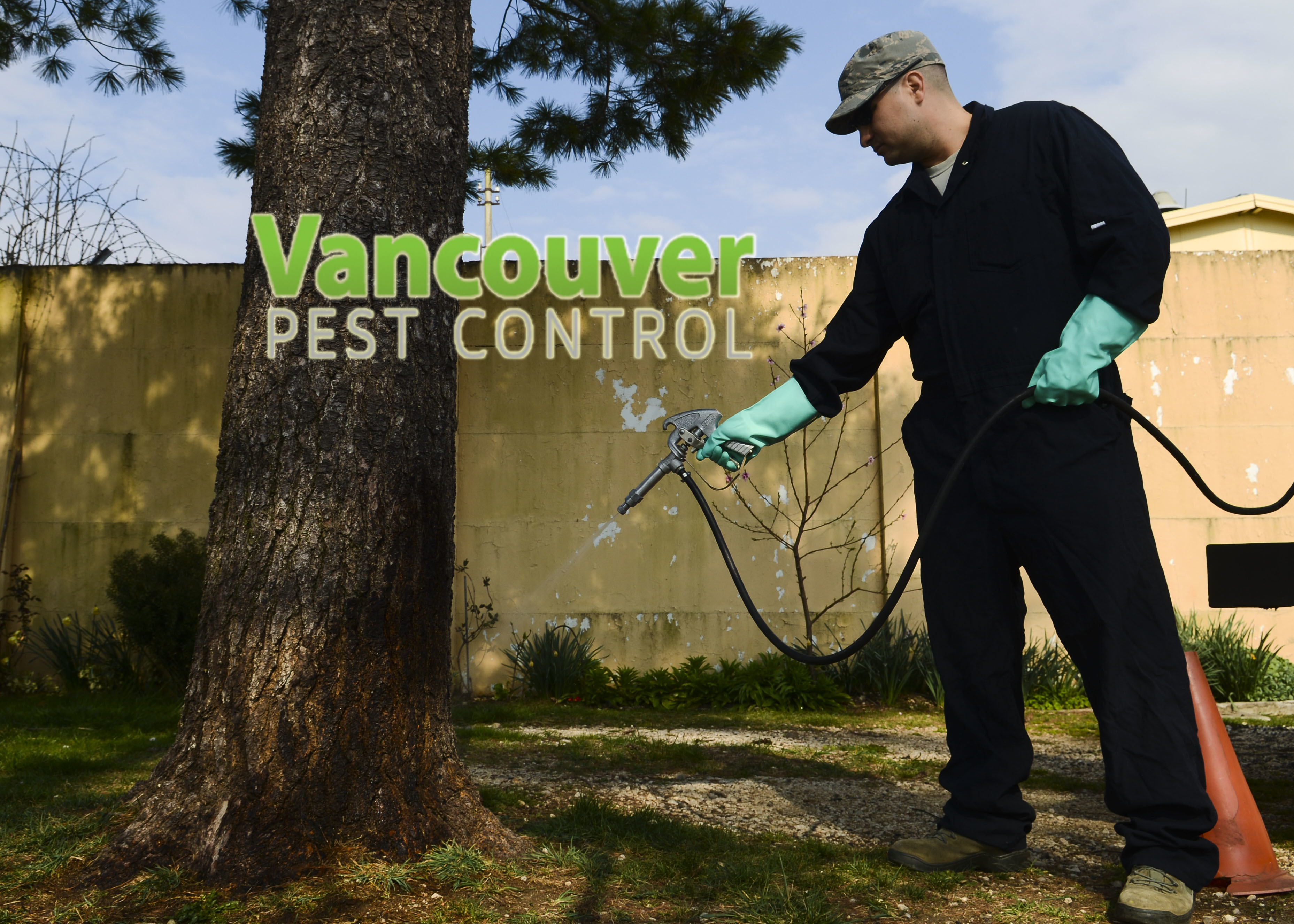 Pestering pests: Entomology sprays down threats
