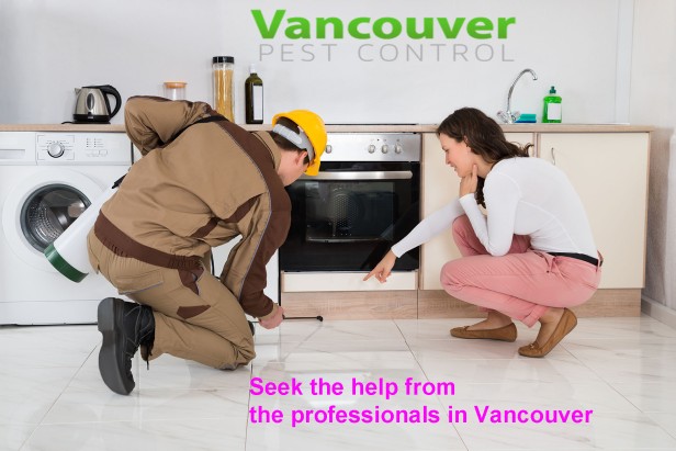 rodent-control-with-professiona-servicel-Vancouver-
